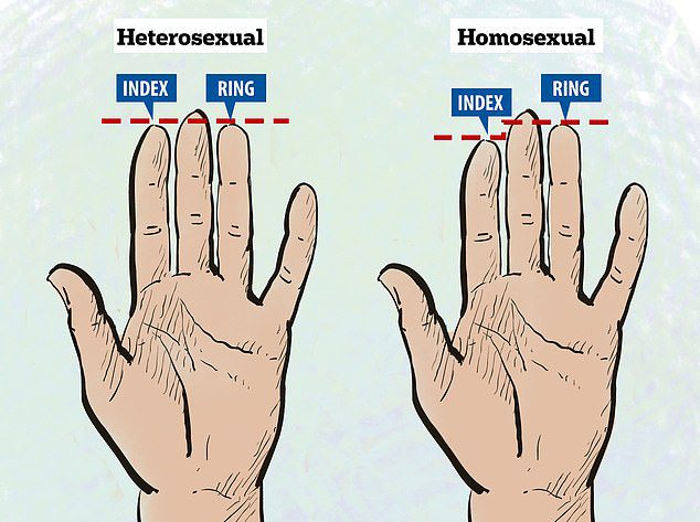 Length Of Your Ring And Index Fingers Could Reveal Your Sexuality 